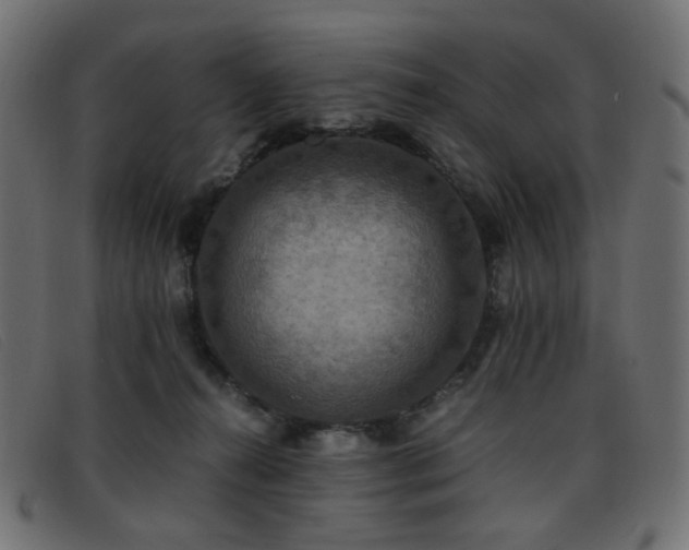 X0000093370272200710111442