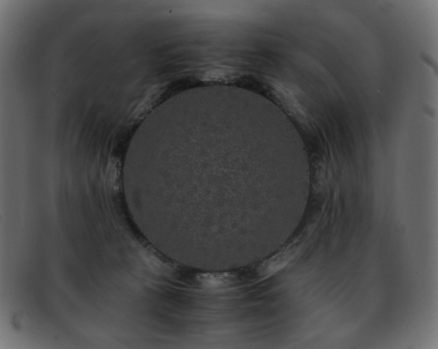 X0000093370273200710111442