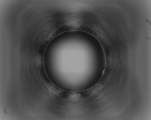 X0000093370274200710111442