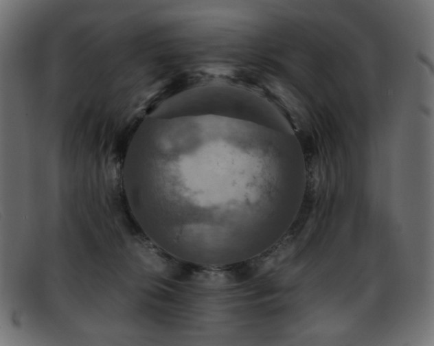 X0000093370276200710111442