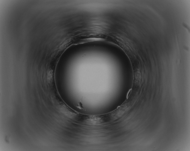 X0000093370278200710111442