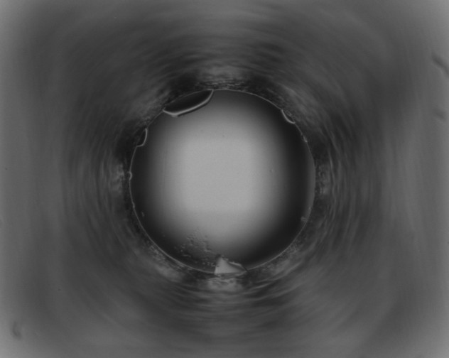 X0000093370279200710111442