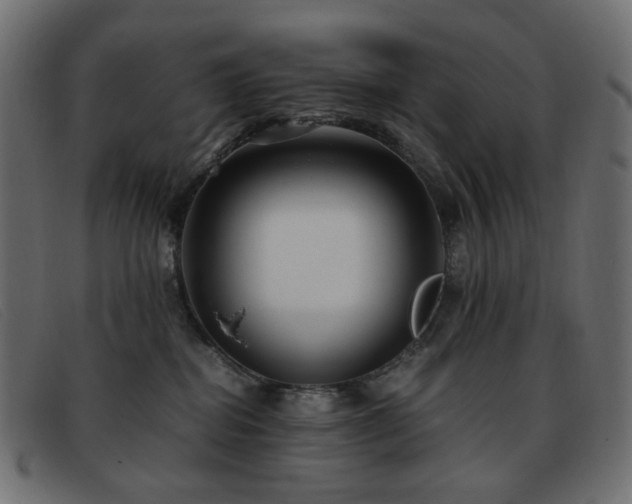 X0000093370282200710111442