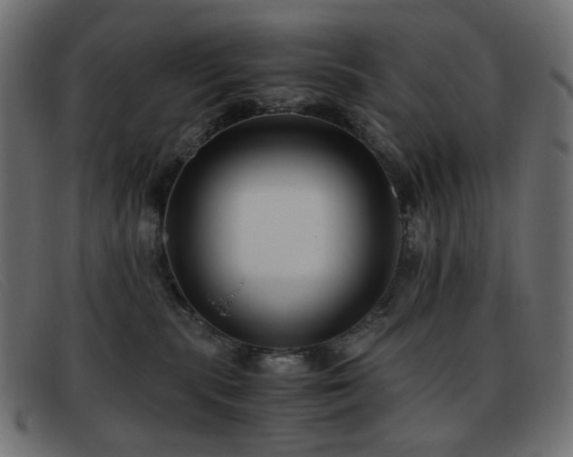 X0000093370283200710111442