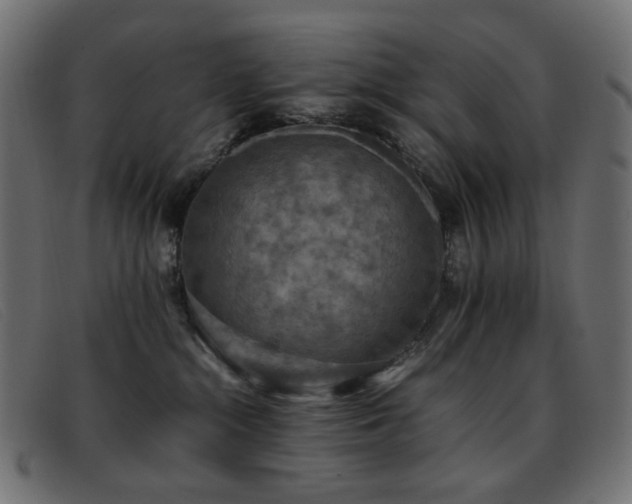 X0000093370284200710111442