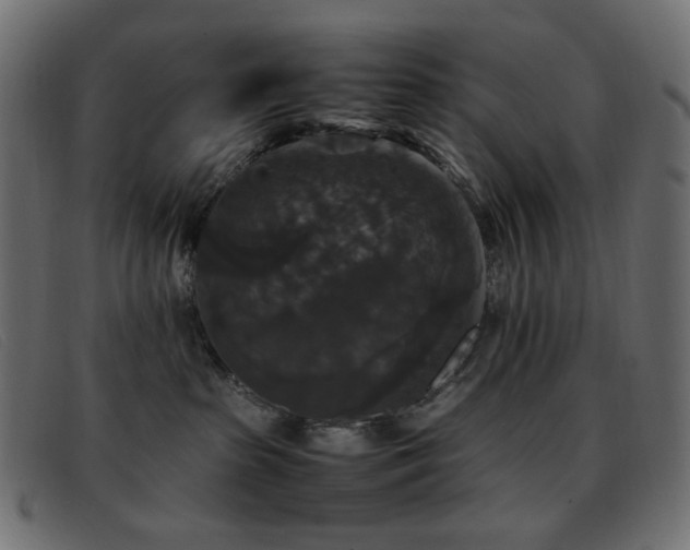 X0000093370285200710111442