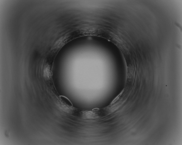 X0000093370287200710111442