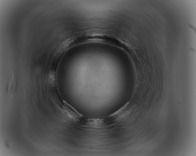 X0000093370288200710111442