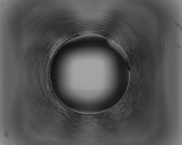 X0000093370289200710111441