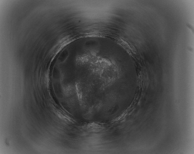 X0000093370290200710111441