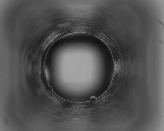 X0000093370291200710111441