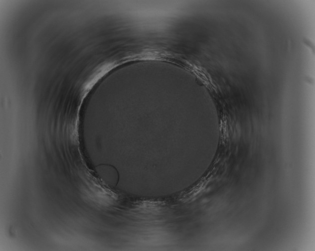 X0000093370292200710111441