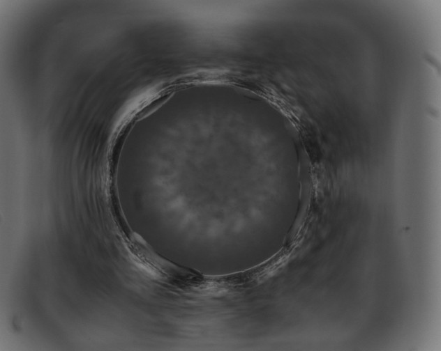 X0000093370293200710111441