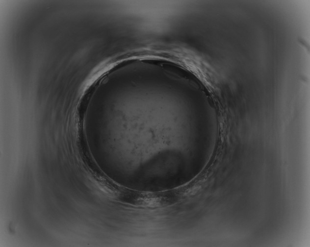 X0000093370295200710111441