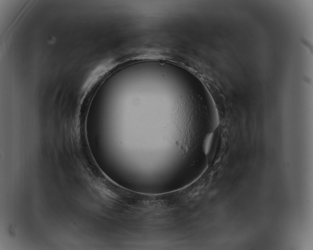 X0000093370296200710111441