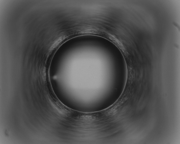 X0000093370298200710111441