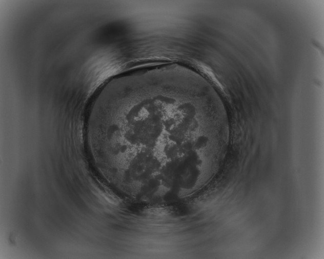 X0000093370299200710111441