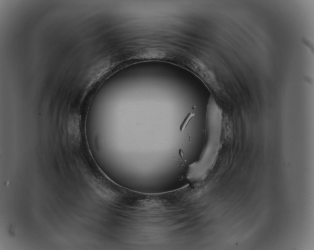 X0000093370300200710111441