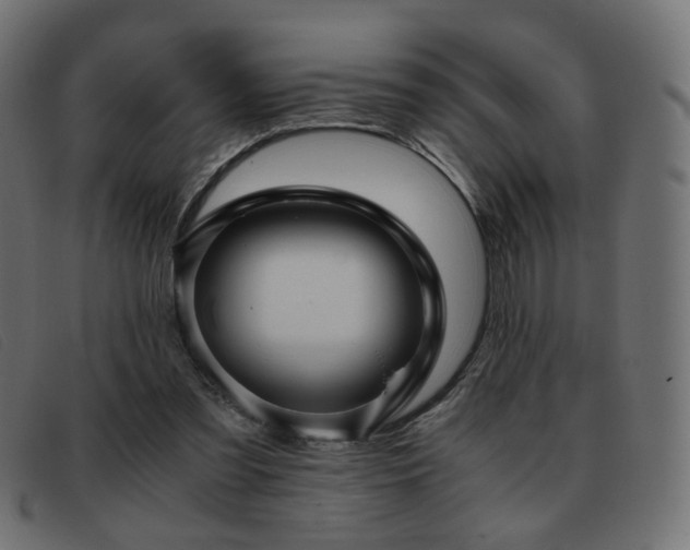 X0000093370301200710111441