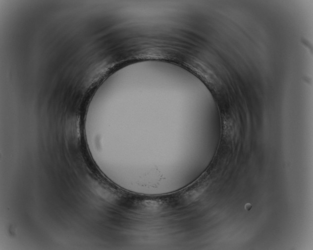 X0000093370302200710111441