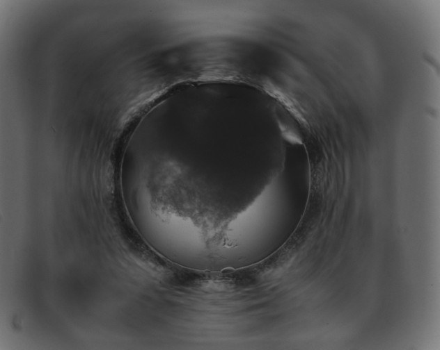 X0000093370303200710111441