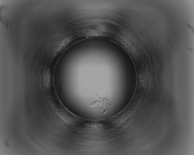 X0000093370304200710111441
