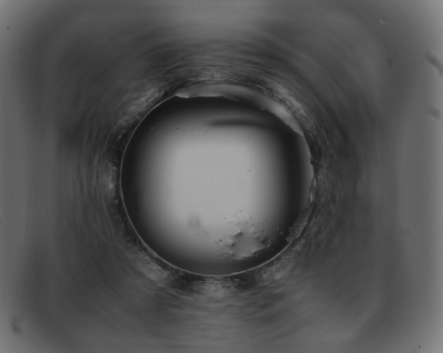 X0000093370305200710111441