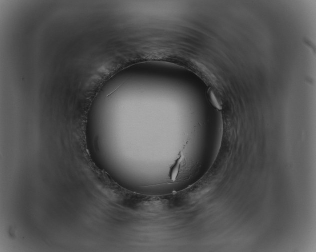 X0000093370307200710111441