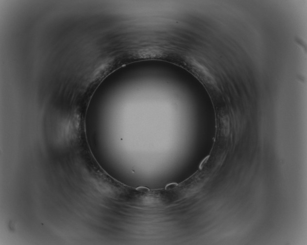 X0000093370308200710111441
