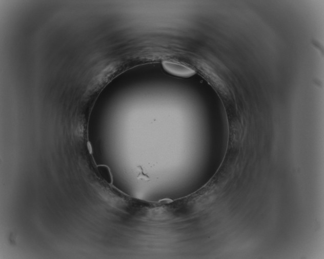 X0000093370309200710111441