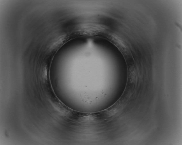 X0000093370310200710111441