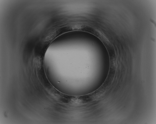 X0000093370311200710111441