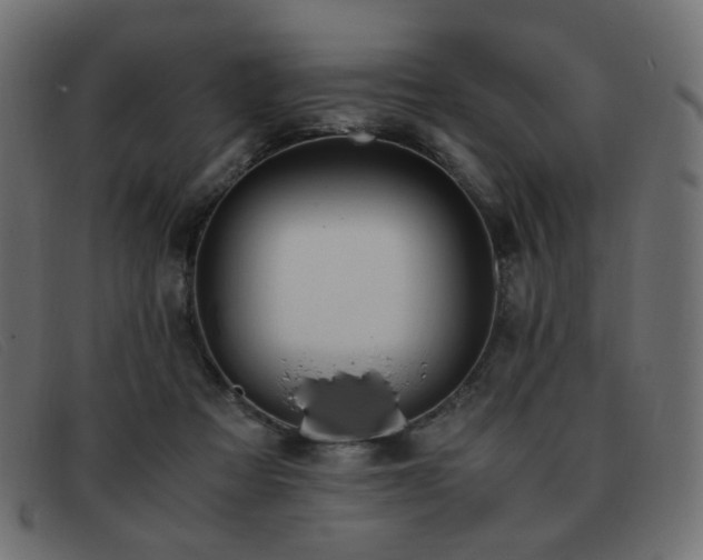 X0000093370313200710111441