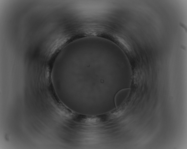 X0000093370314200710111441