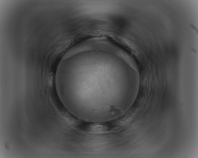 X0000093370315200710111441