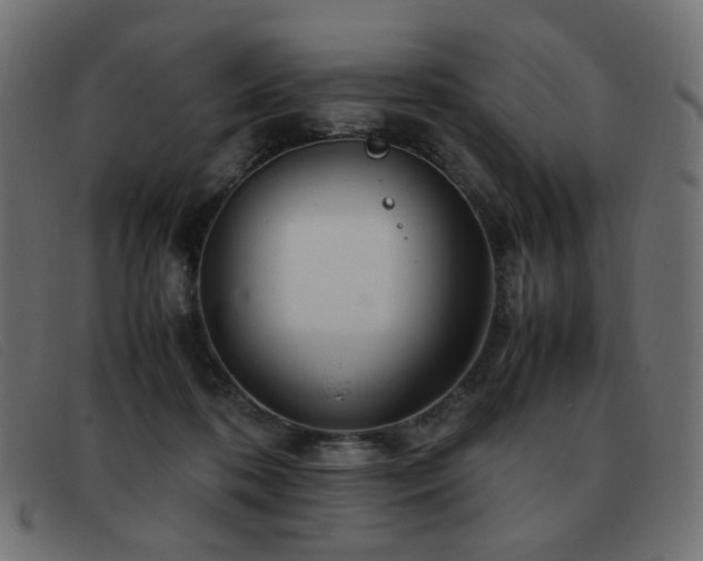 X0000093370316200710111441