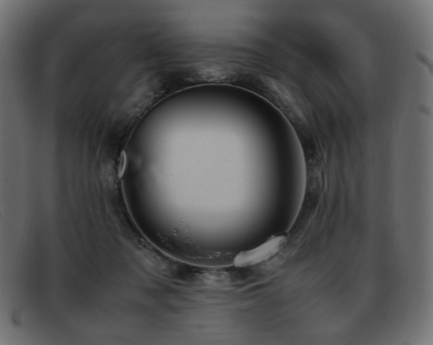 X0000093370317200710111441