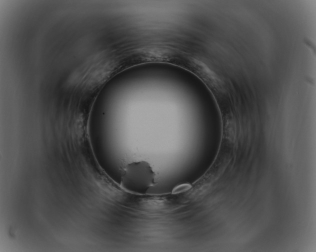 X0000093370318200710111441