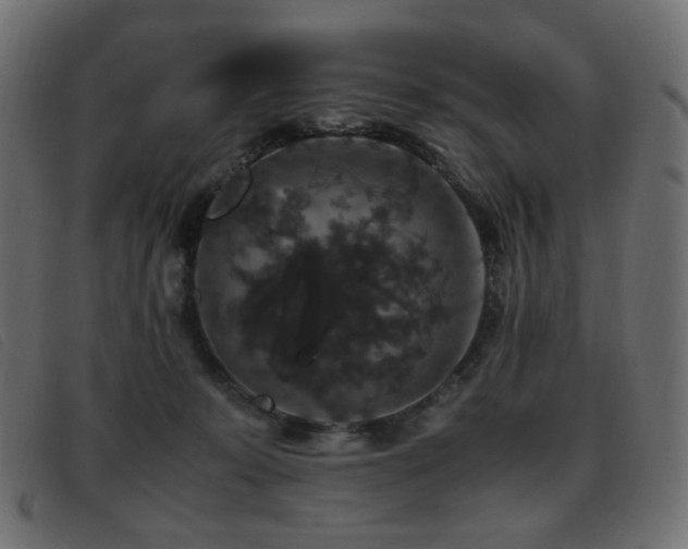 X0000093370319200710111441