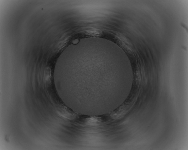 X0000093370320200710111441