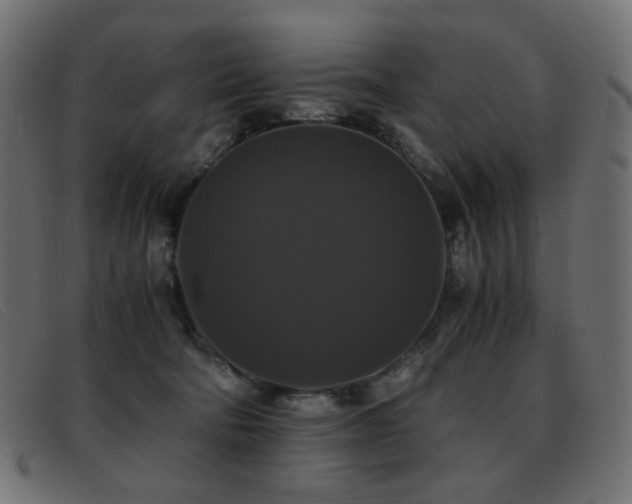 X0000093370322200710111441
