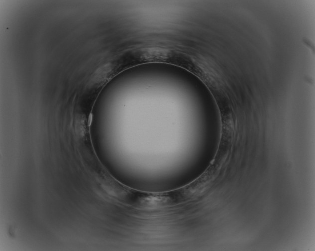 X0000093370323200710111441
