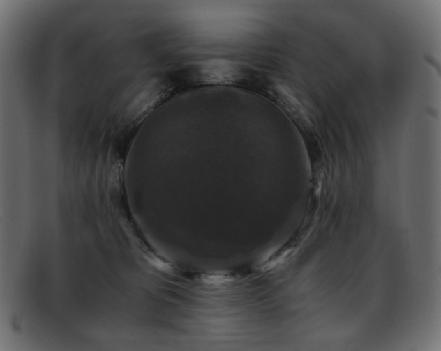 X0000093370325200710111441