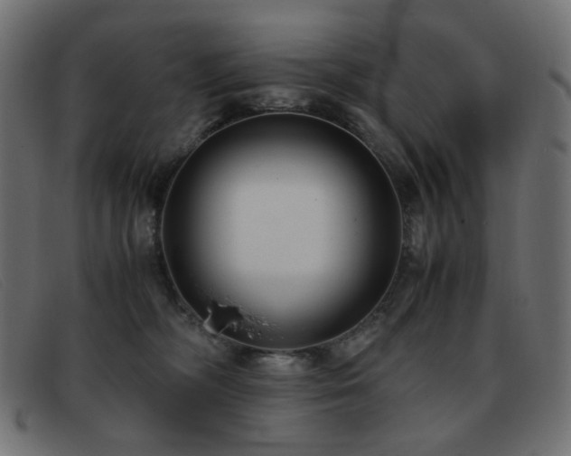 X0000093370326200710111441