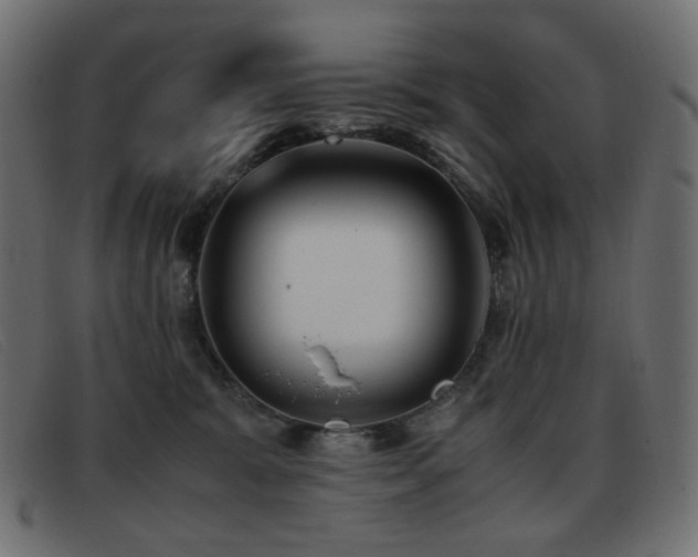 X0000093370327200710111441