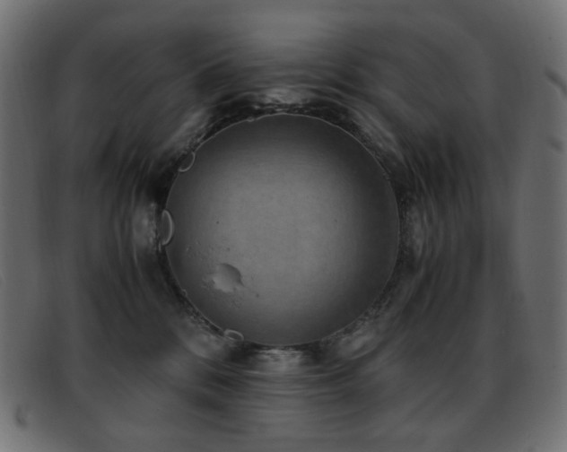 X0000093370328200710111441