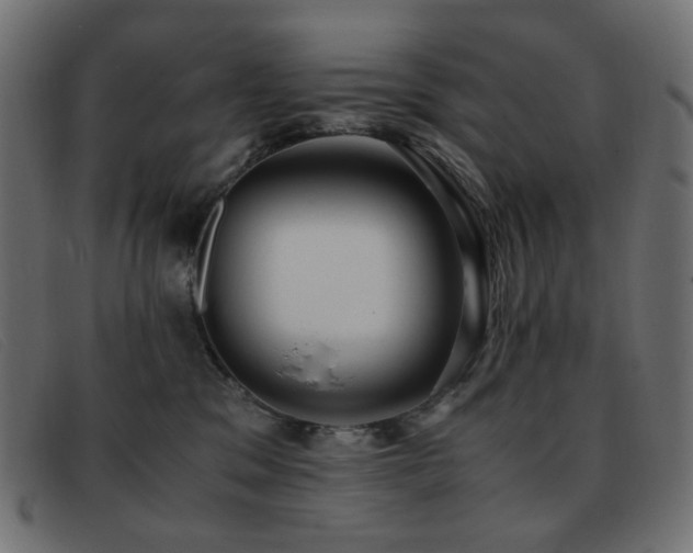 X0000093370329200710111441