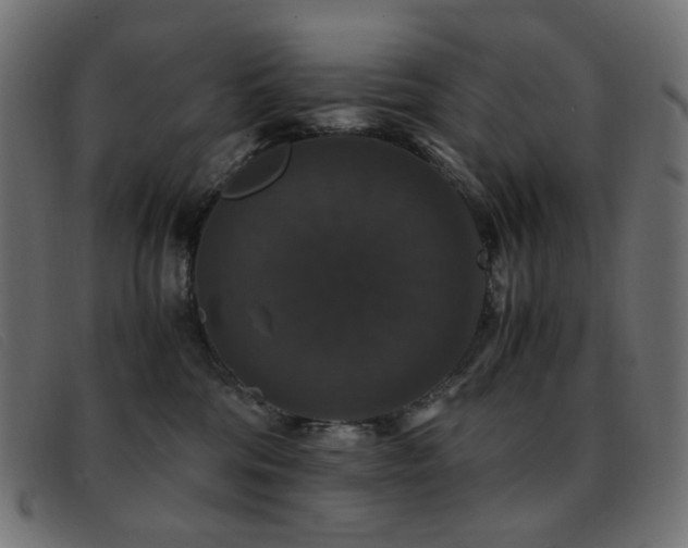 X0000093370330200710111441