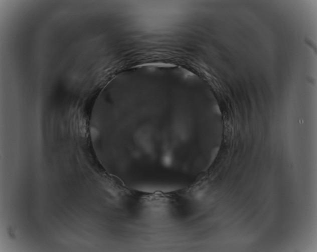 X0000093370331200710111441