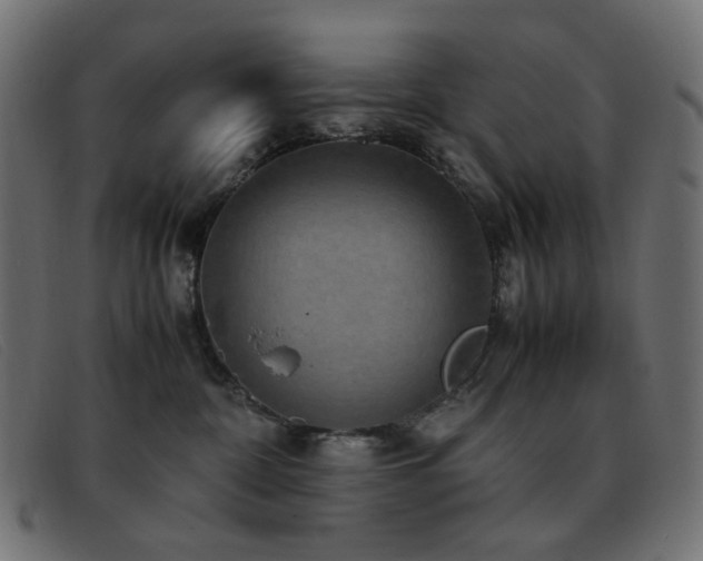 X0000093370332200710111441
